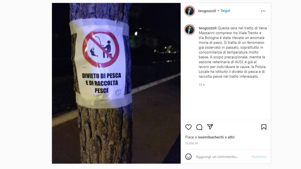 Cesenatico, anomala moria di pesci. Il sindaco: Vietata la pesca nella Vena Mazzarini