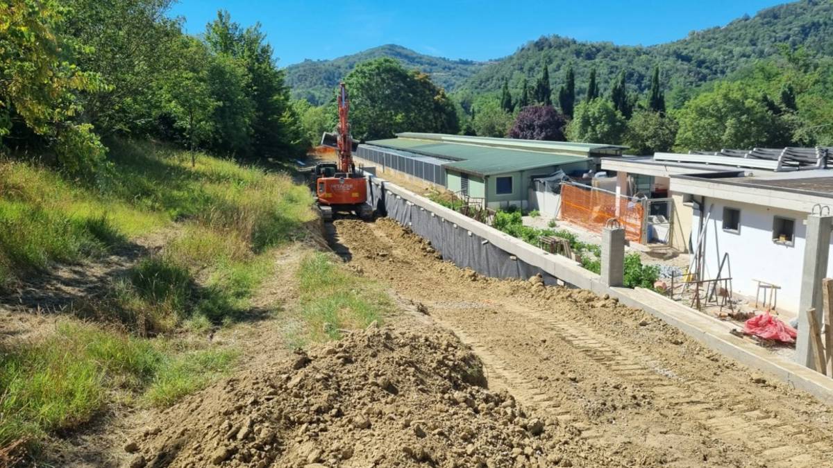 Cesena, canile di Rio Eremo: proseguono i lavori