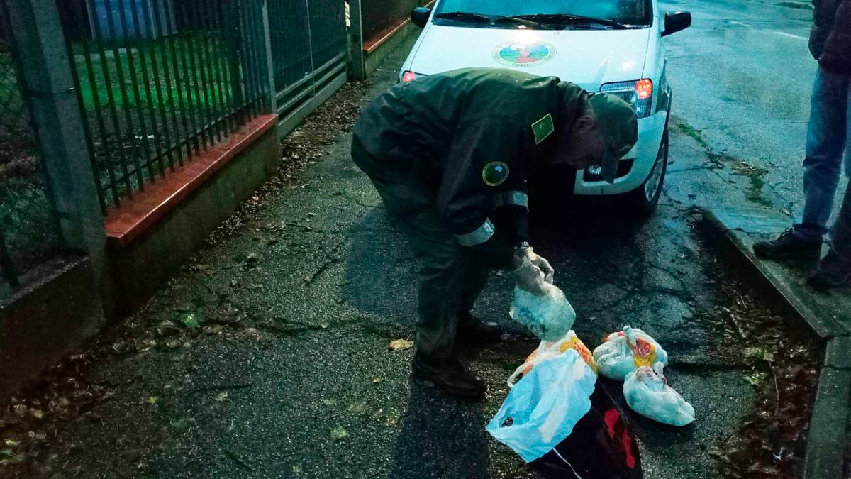 Forlimpopoli, rifiuti abbandonati: già 30 multe
