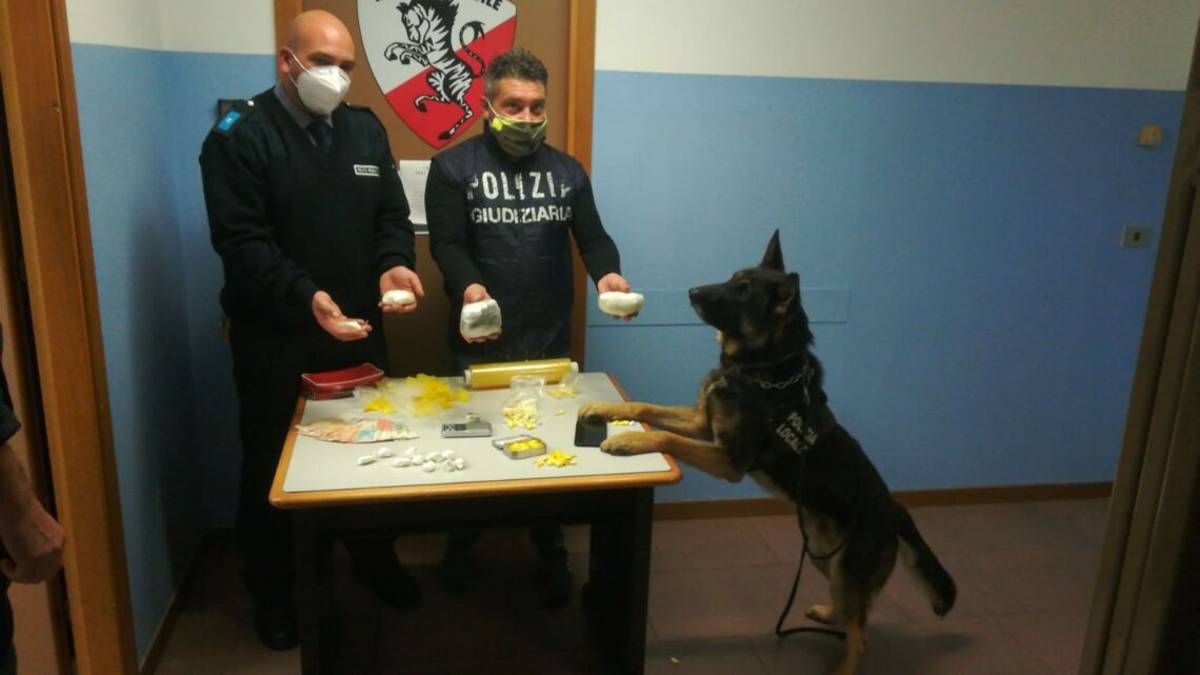 Negoziante di Rimini vendeva cocaina: sequestrati 300 grammi