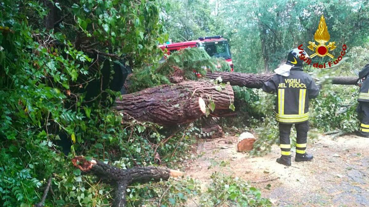Tempesta di vento e grandine su Castel San Pietro, alberi caduti