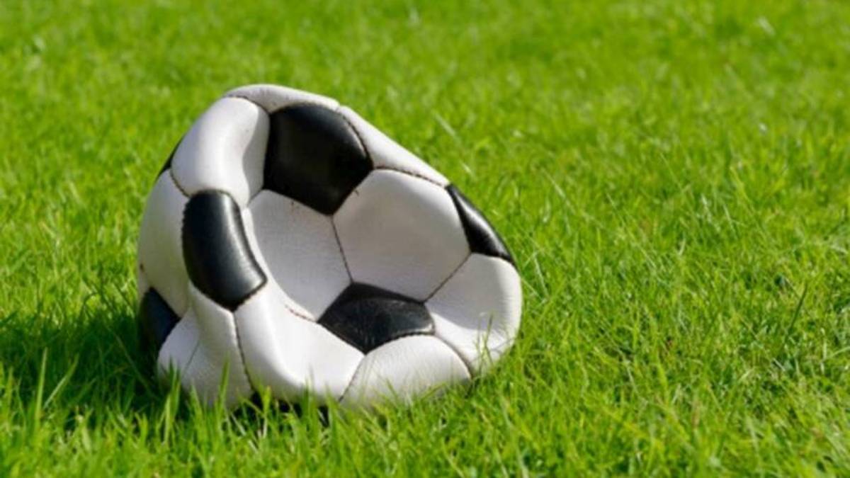 Calcio, il direttivo di Serie C: «Sospensione definitiva»