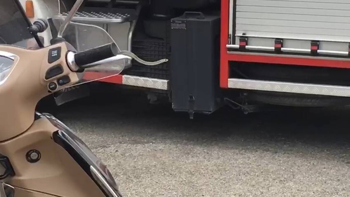 Cesena, 38enne in scooter vede spuntare serpente dal cruscotto - VIDEO