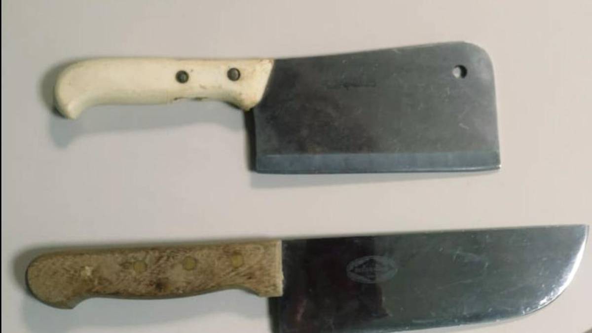 Bagnacavallo, insegue i ragazzini brandendo due coltelli: panico in centro