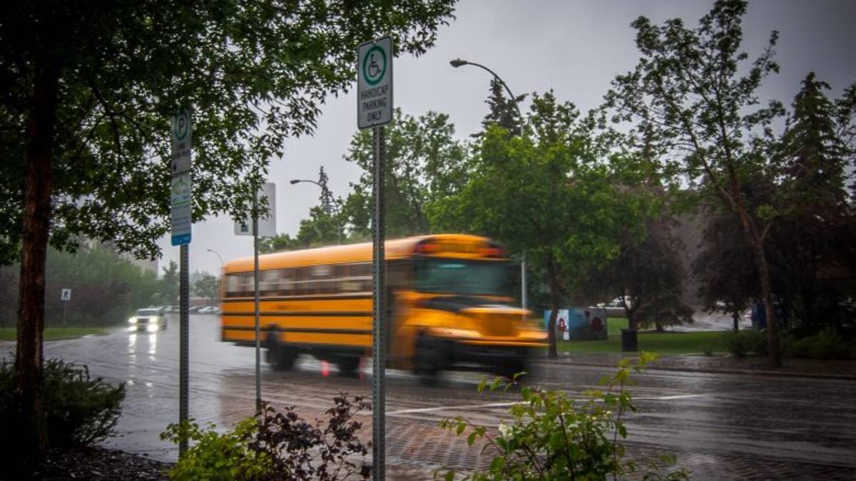 Accusato di abbandono di minore, a Rimini assolto autista dello scuolabus