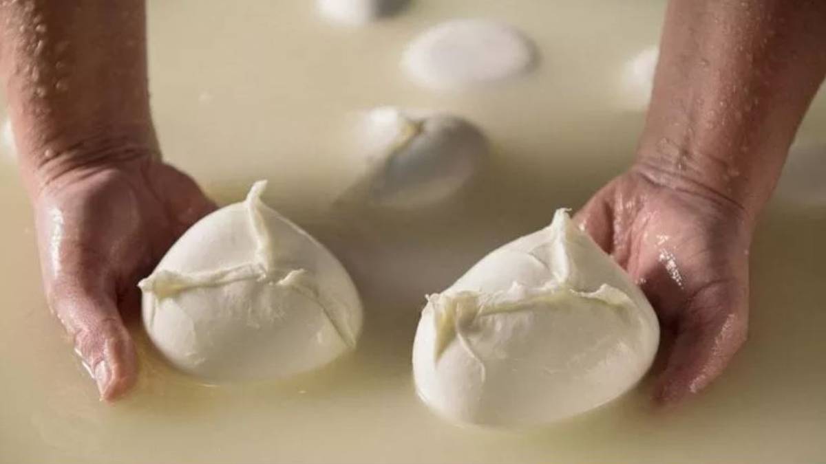 Rimini. Mozzarelle fuori dal frigo a oltre 30 gradi, denunciato un commerciante