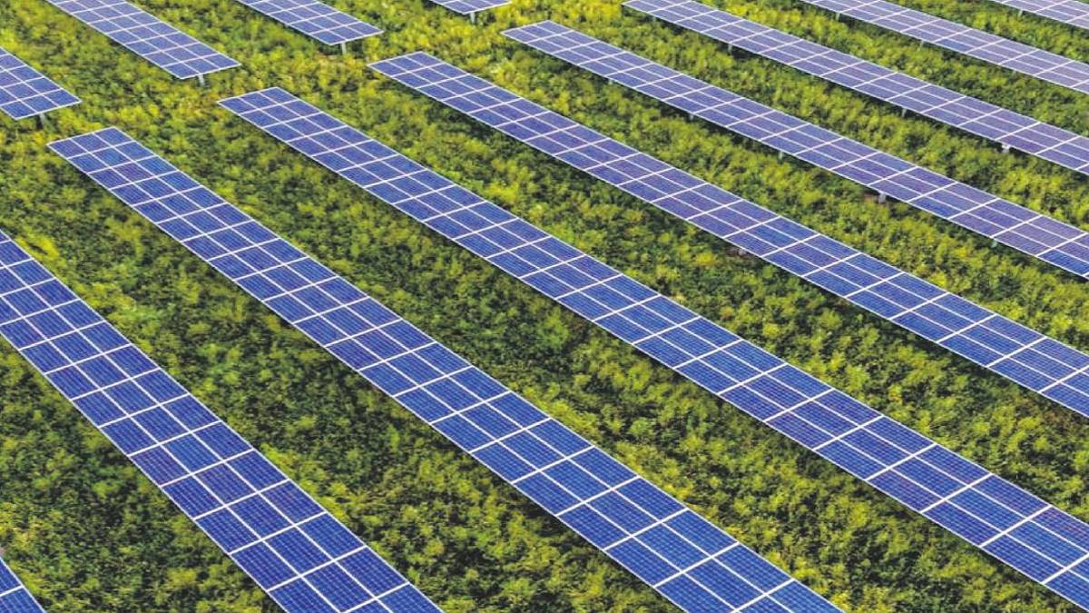 Ravenna. Progetto di un impianto agrivoltaico da 70 milioni di euro