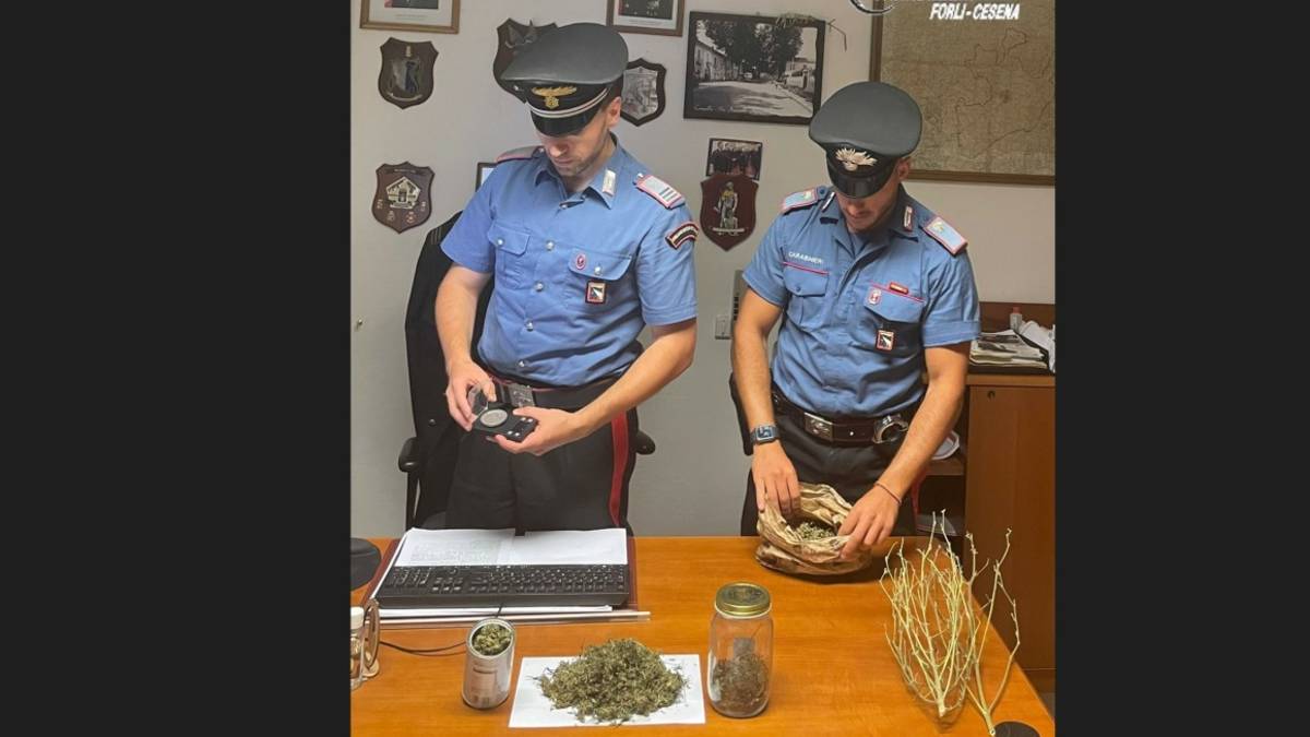 Che strano odore dai vestiti: i Carabinieri scoprono il laboratorio di marijuana a Rocca San Casciano