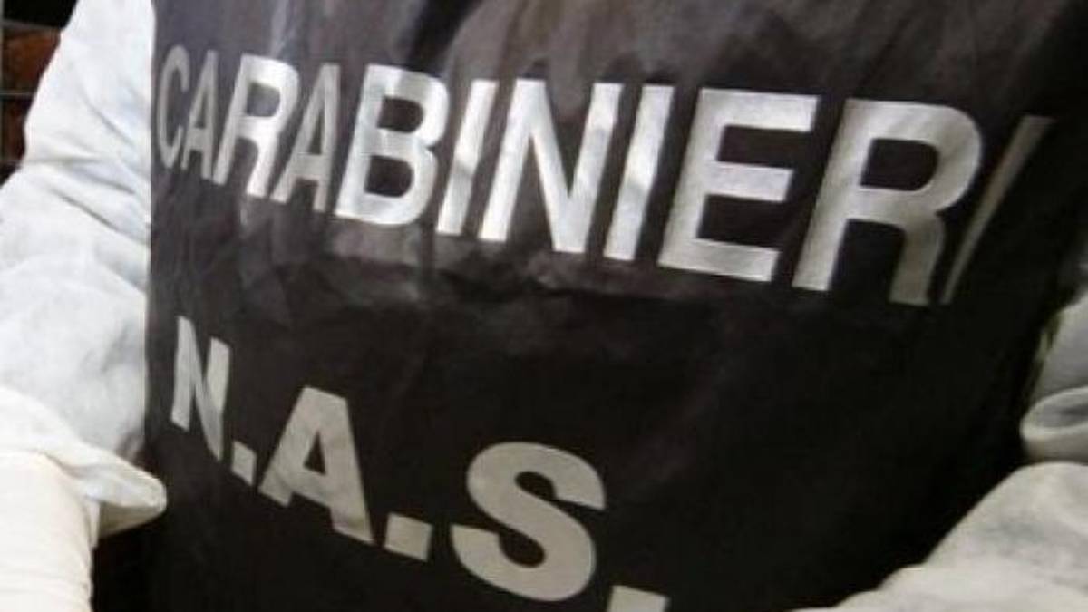 Rimini, sequestrate 23 tonnellate di olio in un oleificio