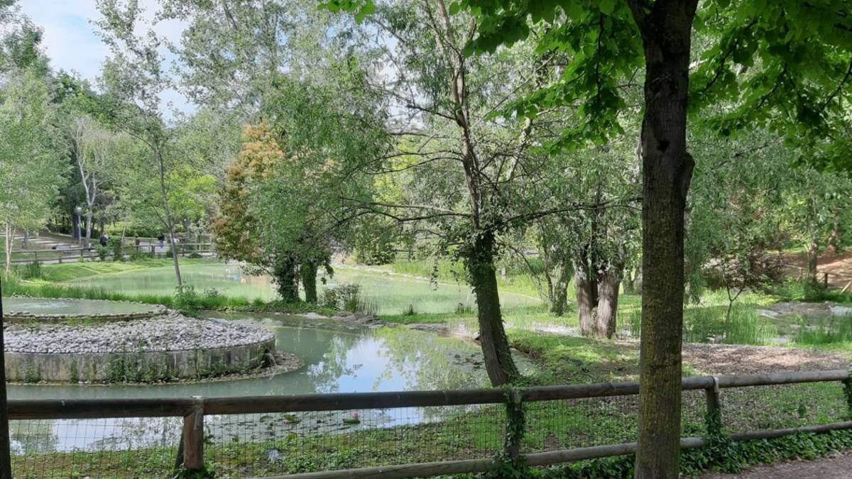 Riccione. Laghetto al parco della Resistenza: trovata la soluzione