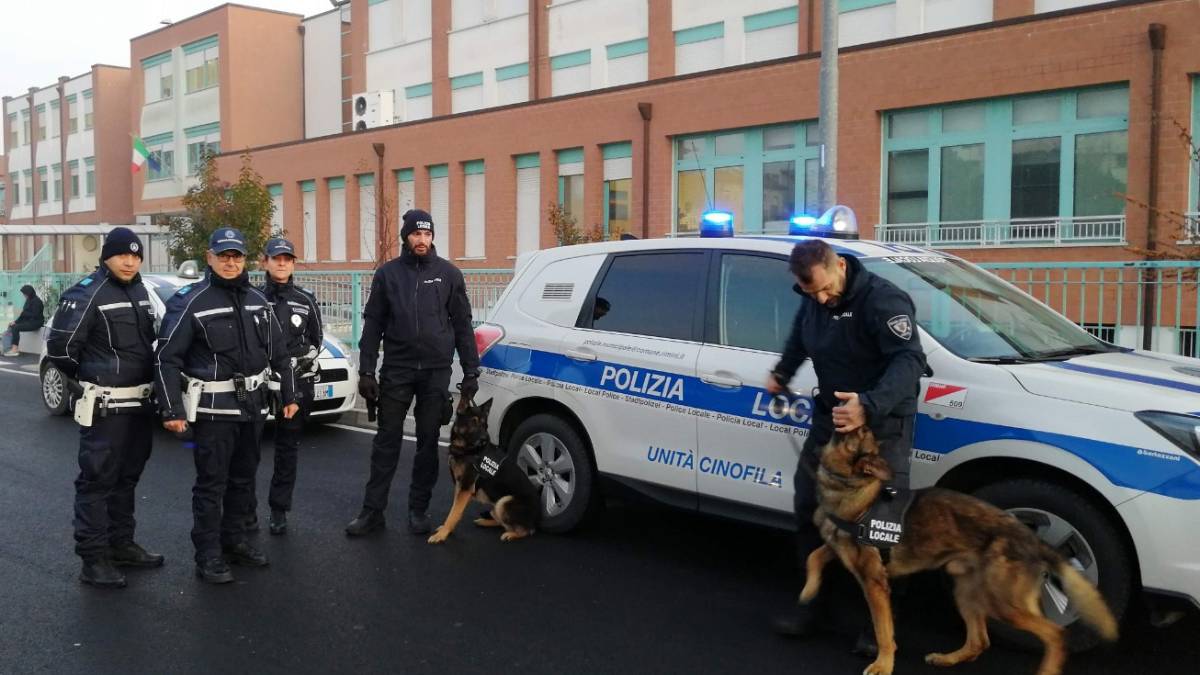 Rimini nord, controllo del territorio con i cani contro il degrado