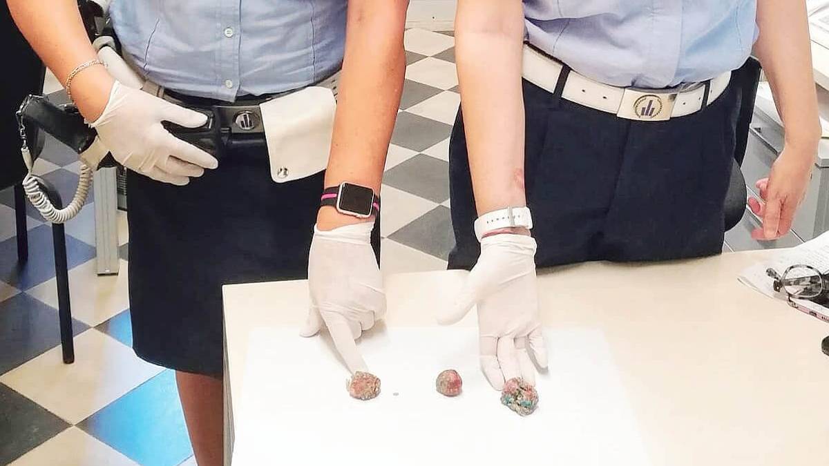 Polpette avvelenate a Faenza, individuato e interrogato un 80enne