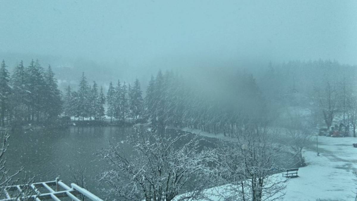 Neve e pioggia in Romagna, si imbianca l'Appennino: Le scuole a Bagno di Romagna restano aperte VIDEO