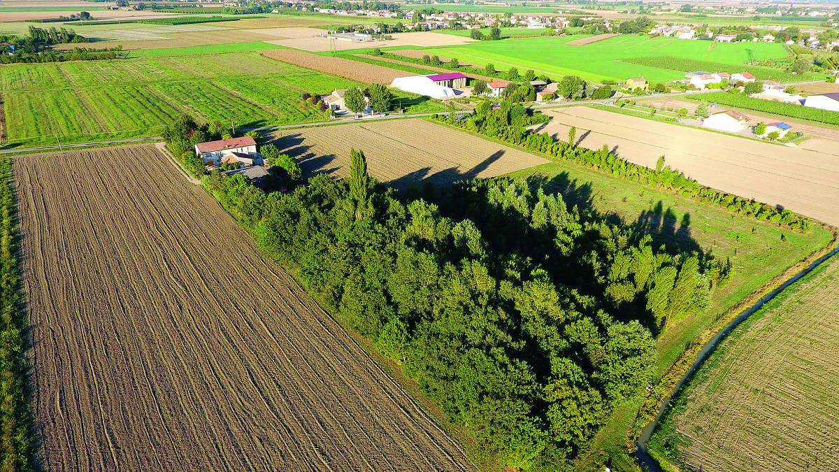 Ravenna, a per ammirare il foliage nei terreni riconvertiti a bosco