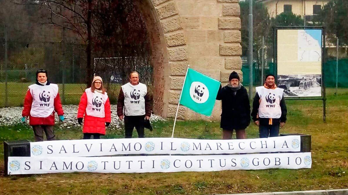 Fiume Marecchia, Wwf: sit in per difenderlo