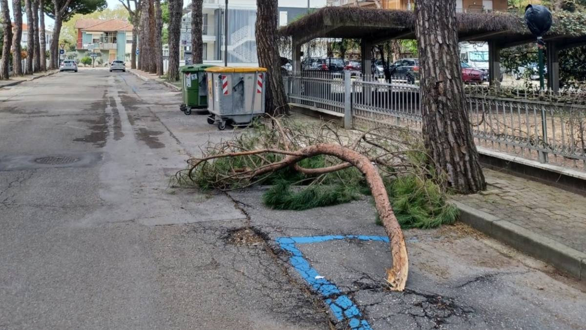 Cervia, gli operatori di Tagliata denunciano: Strade disastrate e rami che cadono - Gallery