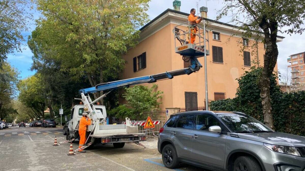 Albero crollato e danni in via Cairoli a Cesena