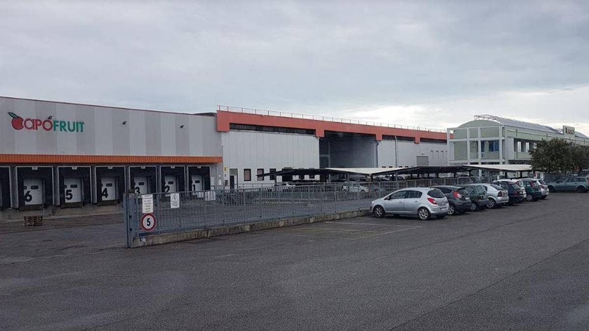 Forlì, la capo banco di Apofruit: Andrò in pensione a 68 anni, sciopero per il futuro delle mie figlie