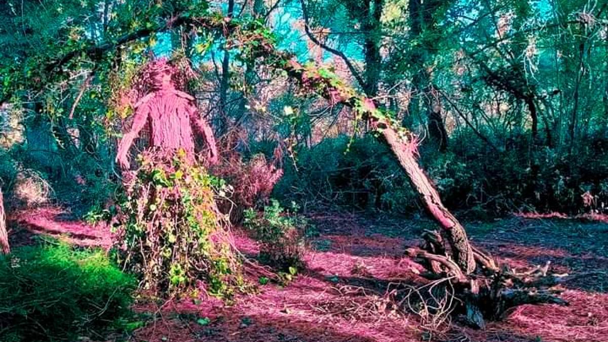 Un nuovo ciclo-percorso naturalistico in combinazione con un percorso sensoriale/visivo