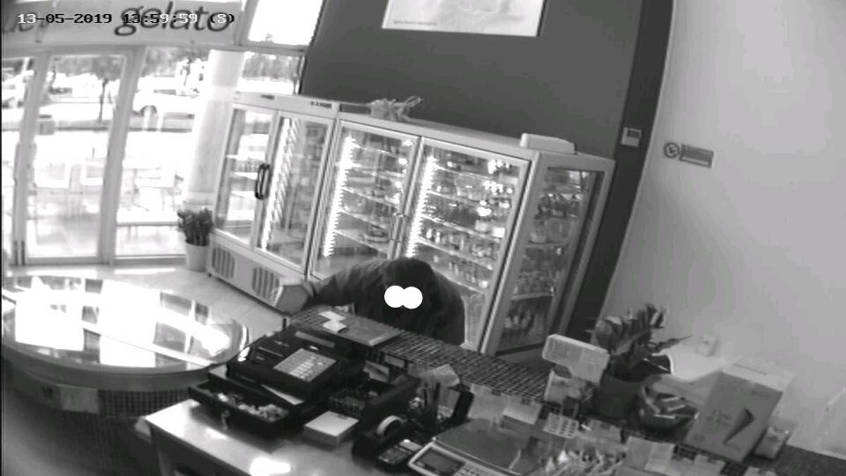Ravenna, razzia nei bar delle offerte per i gatti. Caccia al ladro seriale