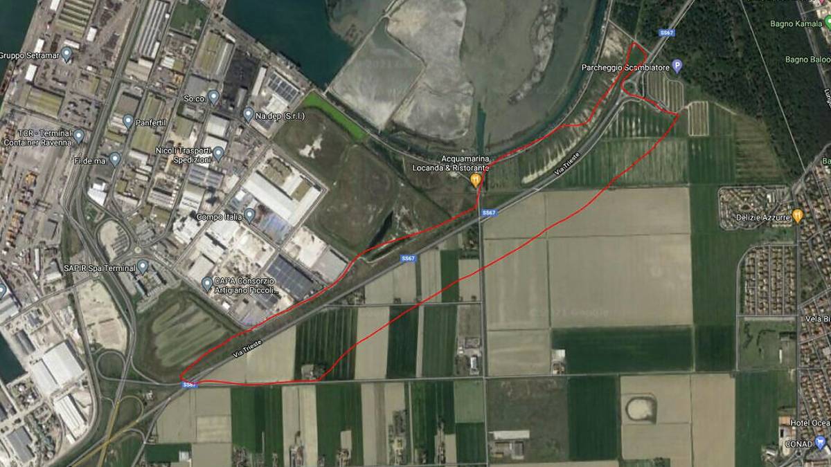 Svolta verde vicino al porto: un bosco urbano tra Ravenna e Marina