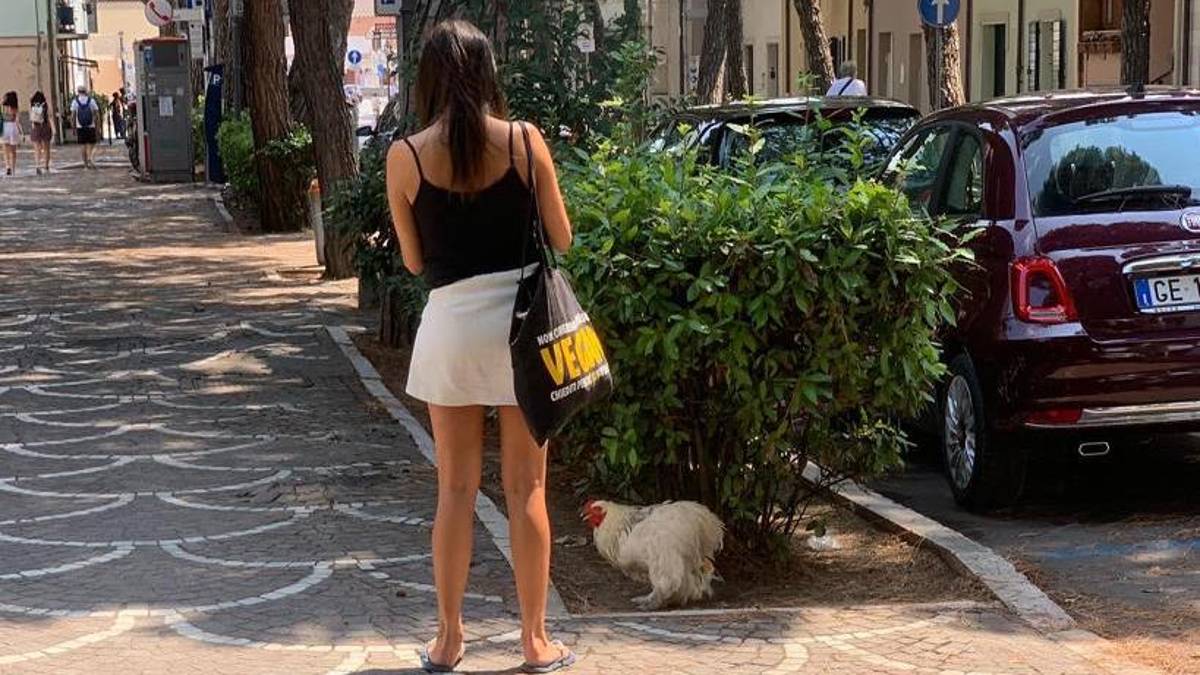Cesenatico, in vacanza con il pollo al guinzaglio