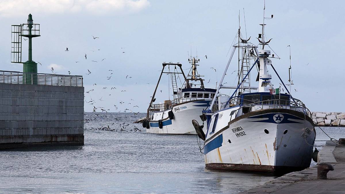Draga libererà il porto canale di Rimini da fango e sabbia