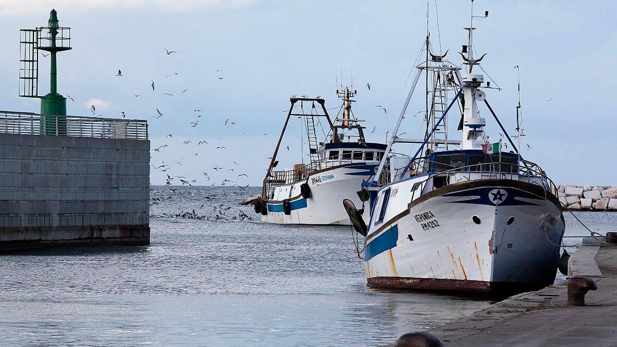 “Una battuta di pesca costa 4mila euro di carburante”: 14 coop e i sindaci della Riviera scrivono al ministro Lollobrigida
