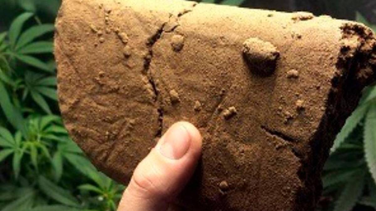 Hashish