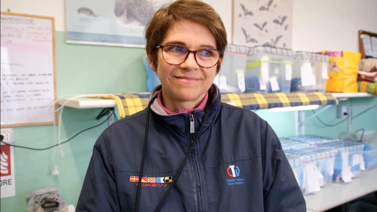 Rimini, il Cras: Il nostro amore per gli animali abita qui