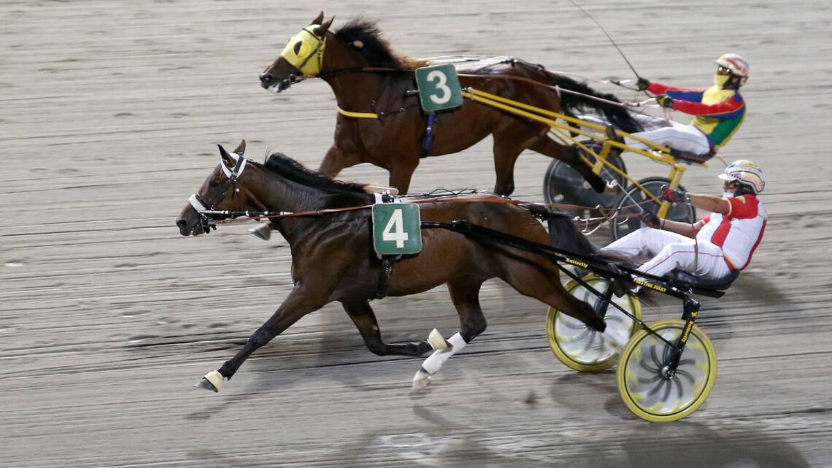 Ippica, Uinner Best vince il Premio Teleromagna al Savio