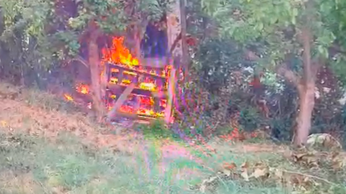 Rimini, litiga con i vicini e poi dà fuoco alla siepe: 46enne arrestata VIDEO
