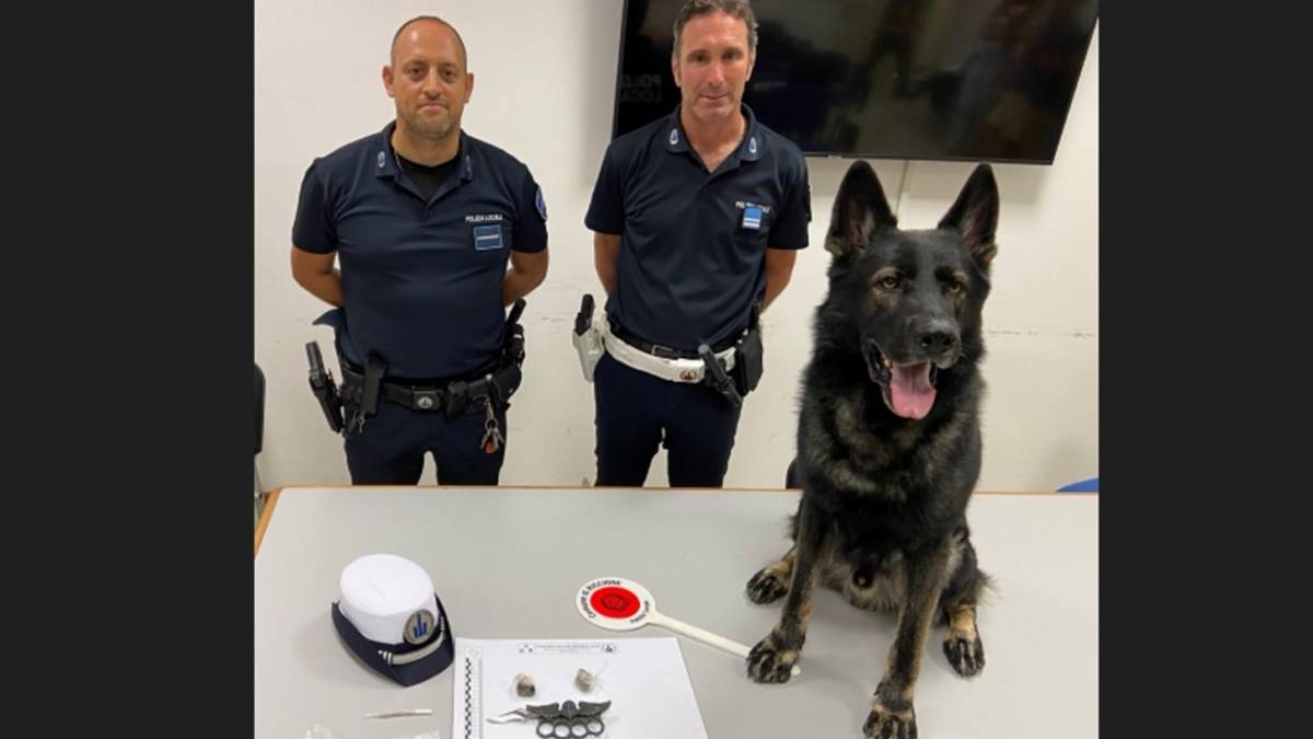Riccione, lotta alle baby gang: il cane Ziko trova 40 grammi di stupefacenti