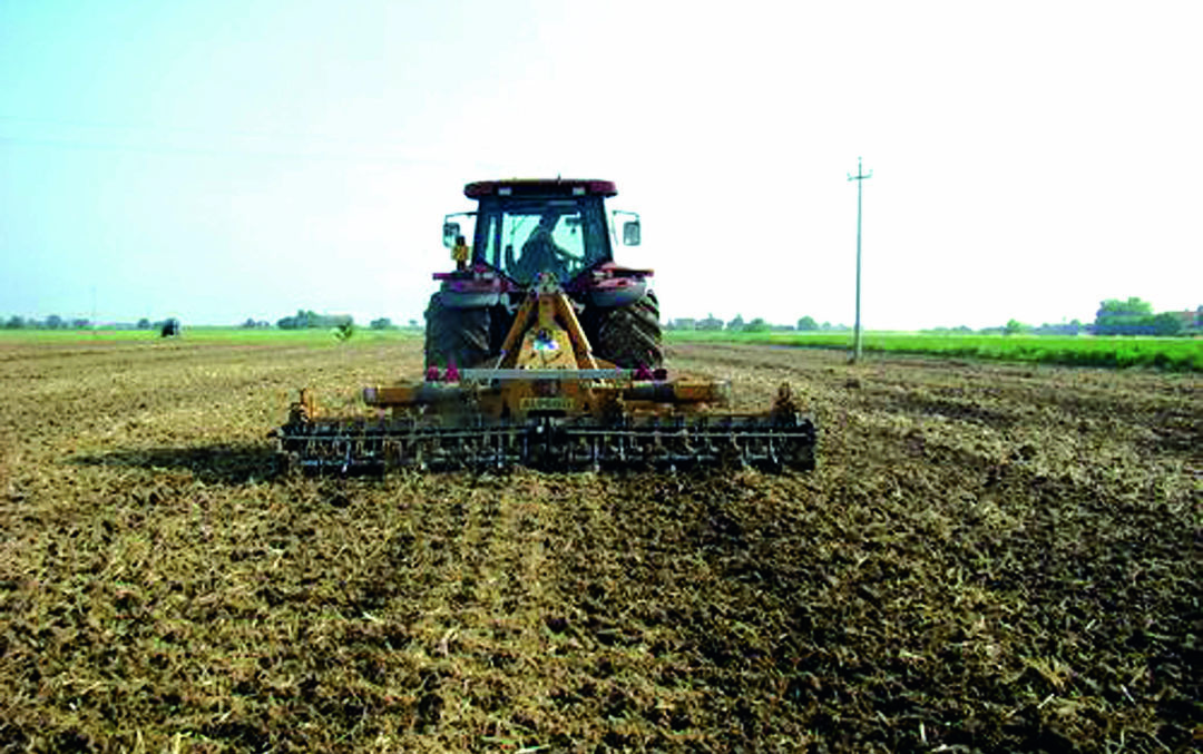 Ravenna, terreni all'asta per giovani agricoltori