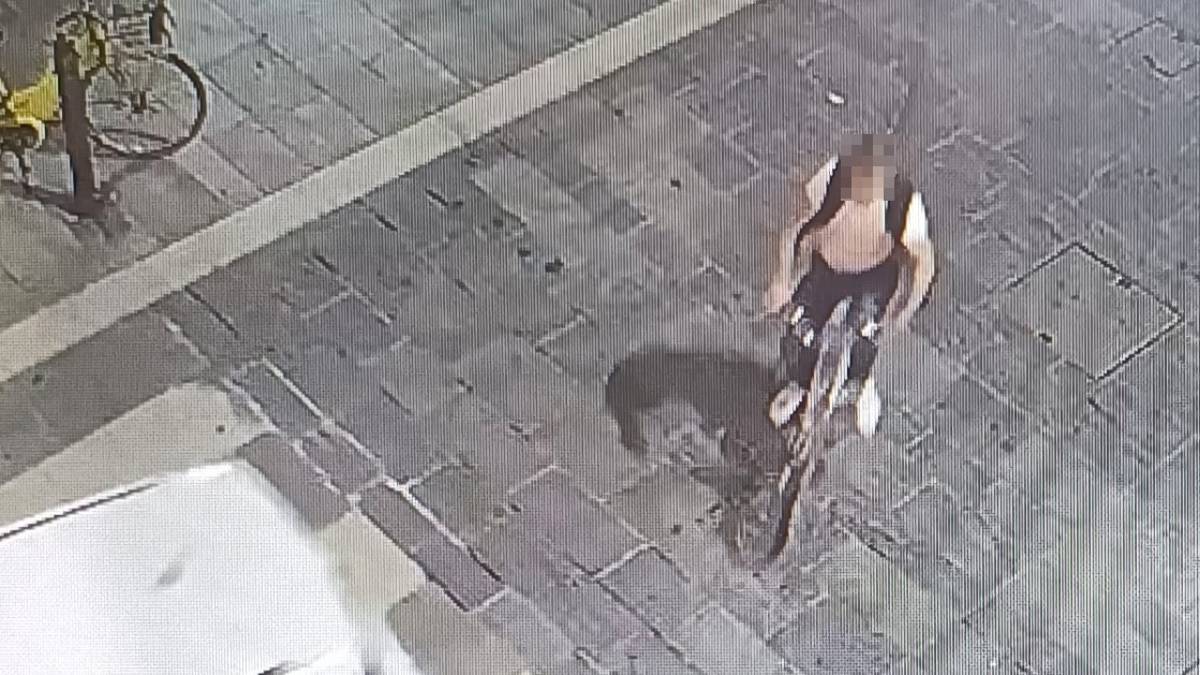 Furti di biciclette a Faenza, denunciate cinque persone