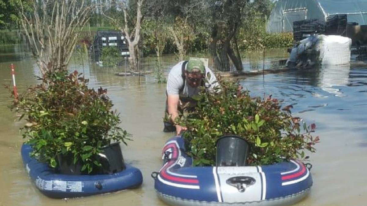 Conselice, vivaio allagato e piante sui canotti: Disperarsi non serve, ora proviamo a ripartire