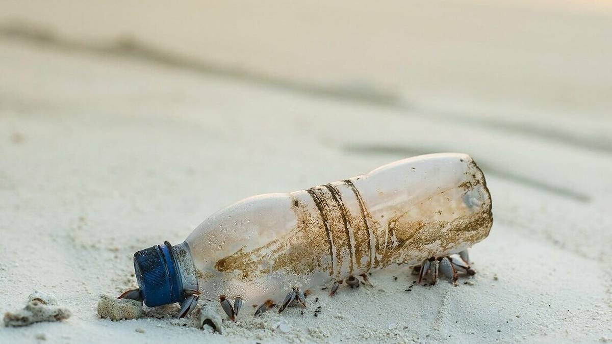 Rimini, sarà un 15 agosto ecologico con il flashmob: #BastaPlasticaInMare