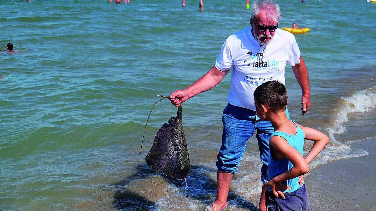 Invasione delle razze pericolose in spiaggia a Rimini. Paura per i bimbi