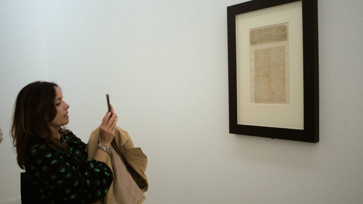 Il Mostro di Ravenna, un disegno di Leonardo da Vinci da sabato 8 ottobre al Mar VIDEO