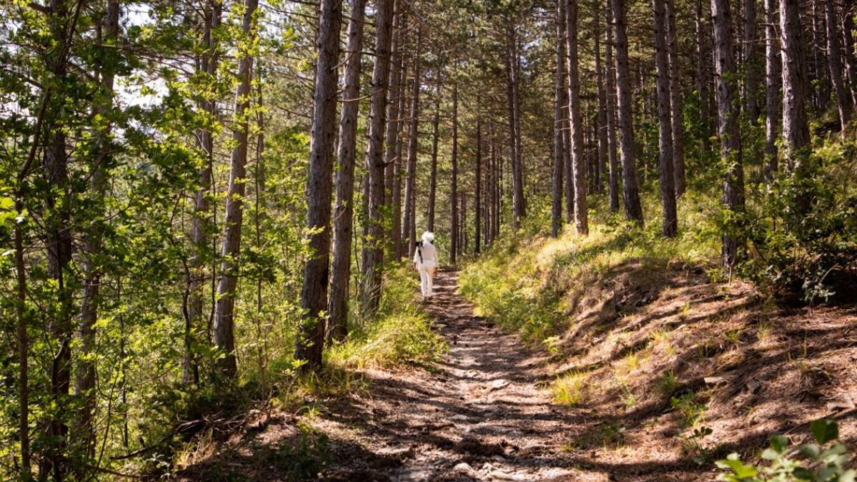 Turismo: il tour che valorizza il territorio della Valle del Savio