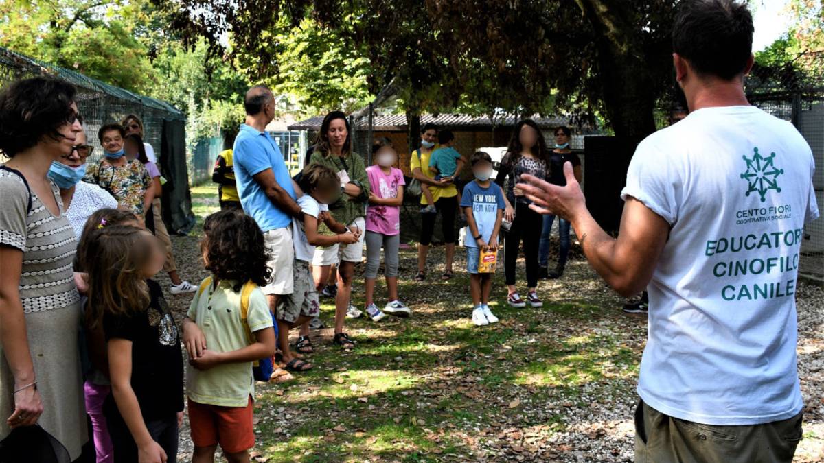 Dal cassonetto dei rifiuti alle coccole di un nuovo padrone: adottata Rea e i suoi 8 cuccioli