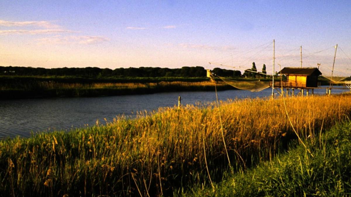 Ravenna. Immobiliare Cpi gela tutti: già a giugno avevamo venduto Ortazzo