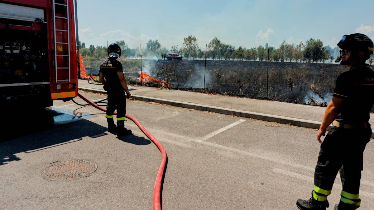 Ravenna, incendio nella zona del Parco Cesarea