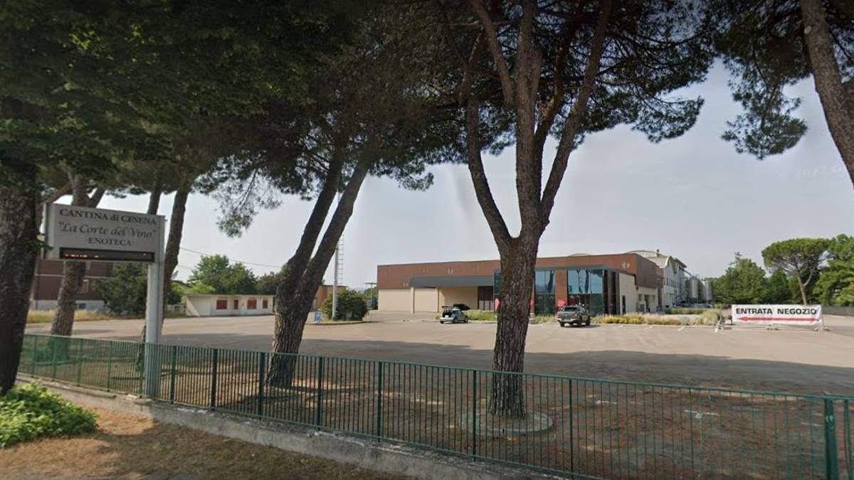 Per la Cantina di Cesena 90 candeline di beneficenza