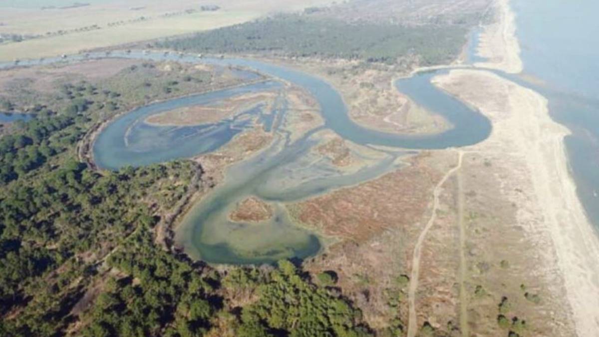 Ravenna. Wwf e Italia nostra in allarme per Ortazzo: La vendita preoccupa