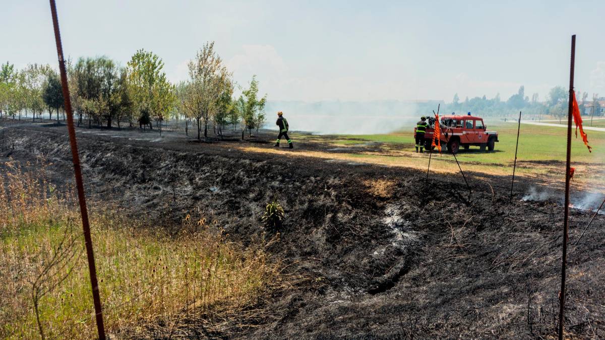 Ravenna e l’incendio al Parco Cesarea, il Comune: “La manutenzione dell’area verde ha evitato l’estendersi dell’incendio” - Gallery