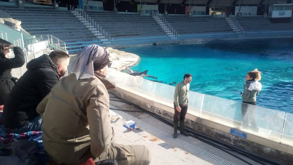 Dai delfini ai falconieri: Oltremare svela i segreti dell'addestramento
