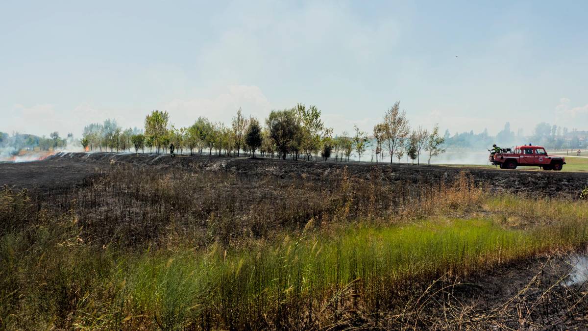 Ravenna e l’incendio al Parco Cesarea, il Comune: “La manutenzione dell’area verde ha evitato l’estendersi dell’incendio” - Gallery
