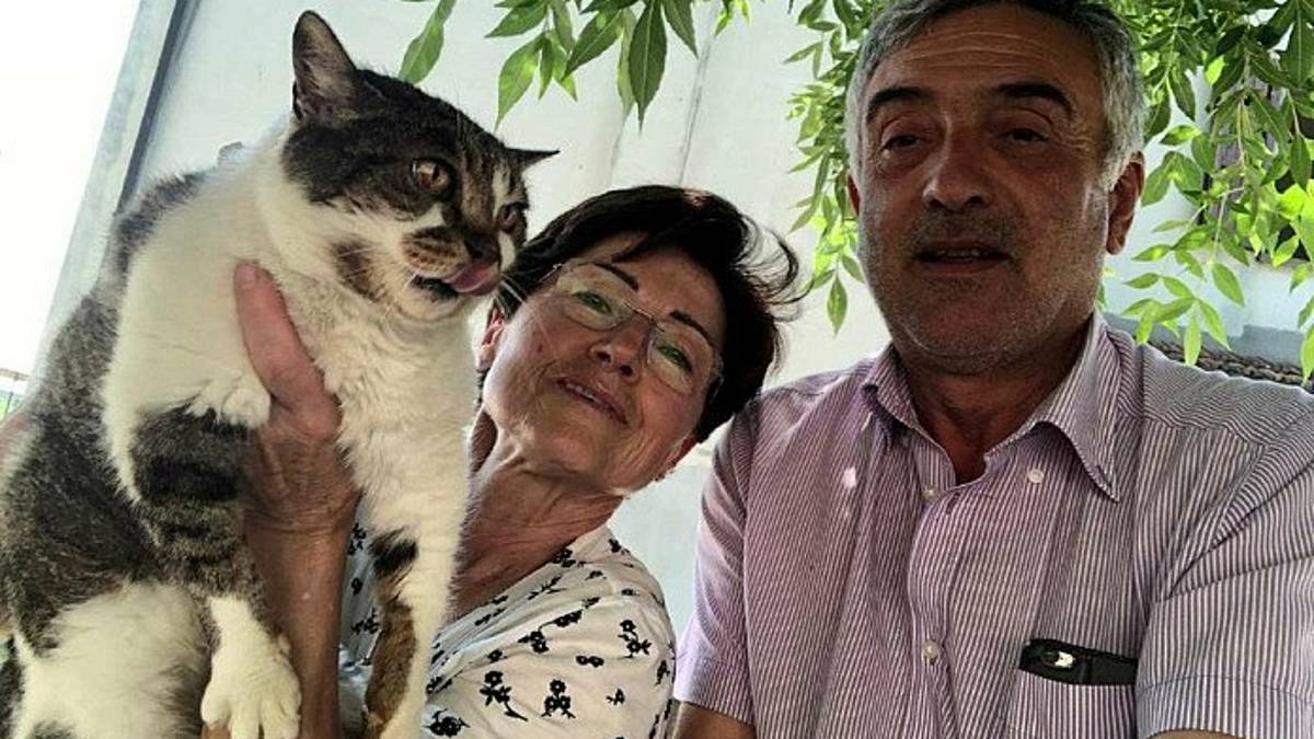 Ravenna, la gatta più anziana d'Italia è morta a 33 anni: sola e al gelo in un campo
