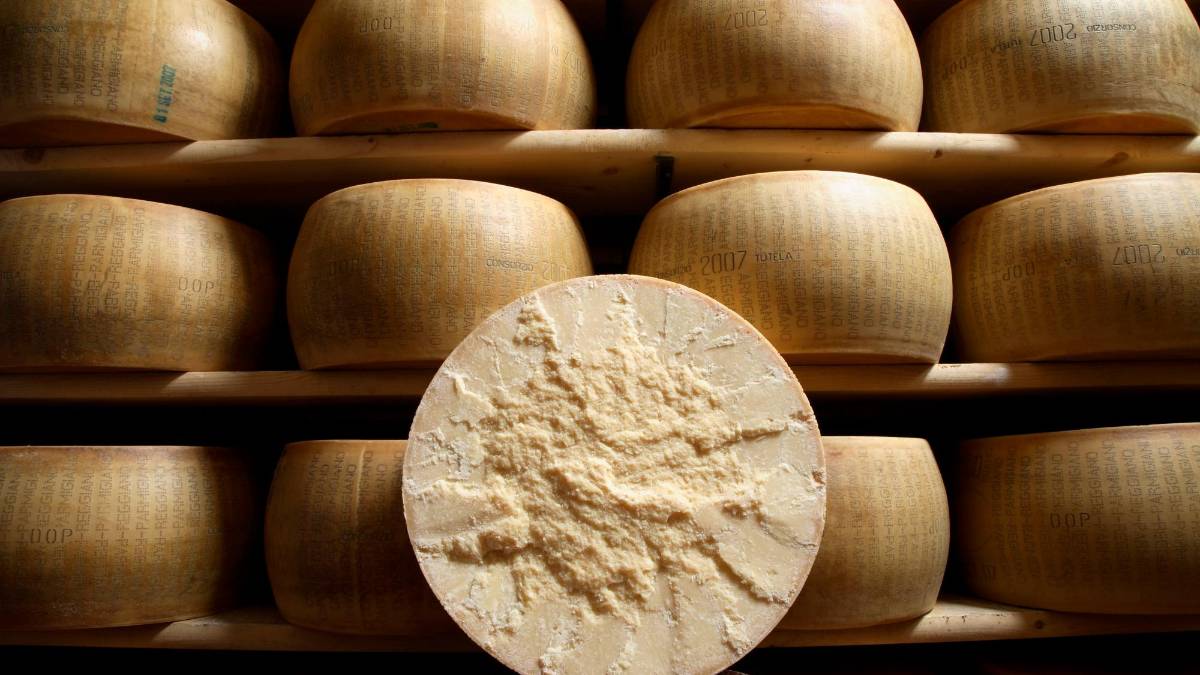 Una tonnellata di Parmigiano Reggiano in beneficenza: da Coldiretti 30mila euro per le imprese alluvionate in Romagna